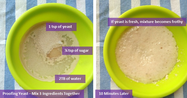 proof yeast
