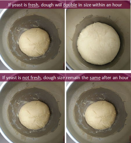 proof yeast